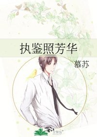 《执鉴照芳华》