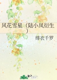 《风花雪星(陆小凤衍生)》