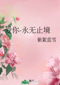 《爱你-永无止境》