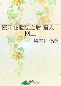 盛开在遗忘之后 猎人网王