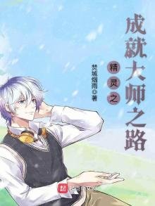 《精灵之成就大师之路》