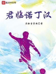 《君临诺丁汉》