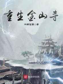 《重生金山寺》