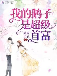 《我的鹅子是超级首富》