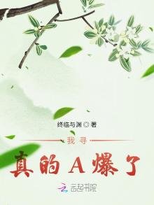 《我寻真的A爆了》