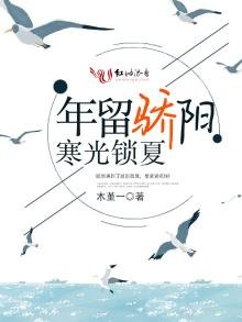 《年留骄阳寒光锁夏》