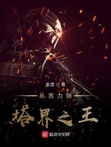 《从苦力到塔界之王》