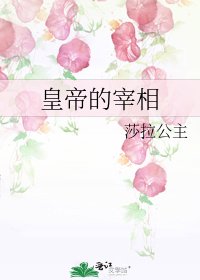 《皇帝的宰相》