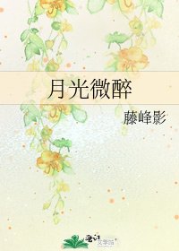 《月光微醉》