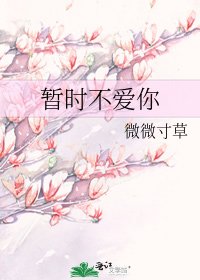 《暂时不爱你》