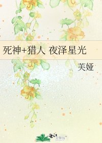 《死神+猎人 夜泽星光》