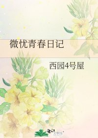 《微忧青春日记 微忧青春日记》