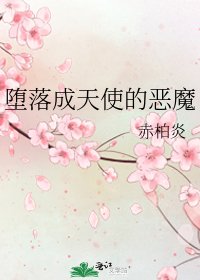 《堕落成天使的恶魔》