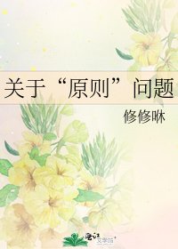 《关于“原则”问题》