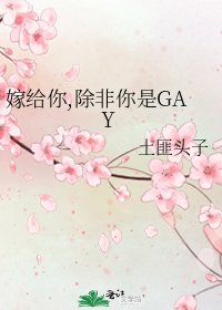 《嫁给你,除非你是GAY》