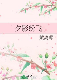 《夕影纷飞》