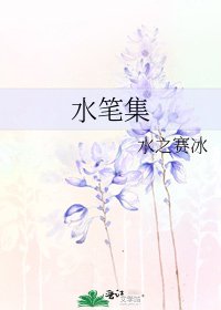 《水笔集》