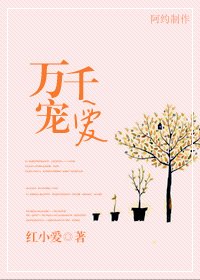 《万千宠爱》