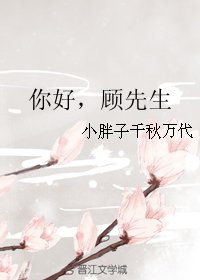《你好,顾先生 》