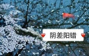 阴差阳错