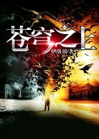 《苍穹之上》