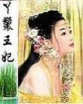 《丫鬟王妃》