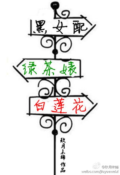 《黑女配,绿茶婊,白莲花》