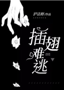 《插翅难逃》