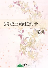 《(海贼王)薇拉妮卡》