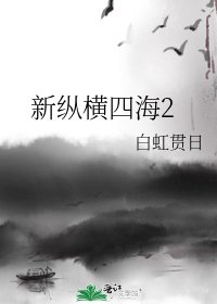 新纵横四海2