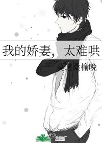 《我的娇妻,太难哄》
