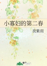《小寡妇的第二春》