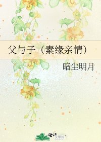 《父与子(素缘亲情)》