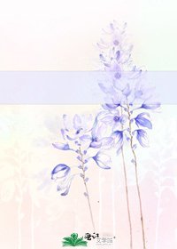《种胡萝卜的男人》