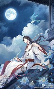 《(综)弦华锦瑟》