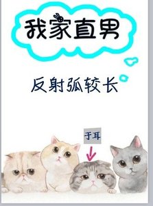 《我家直男反射弧较长》