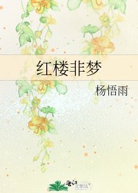 《红楼非梦》