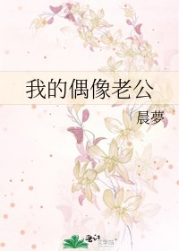 《我的偶像老公》