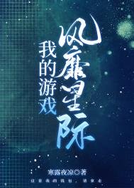 《我的游戏风靡星际》