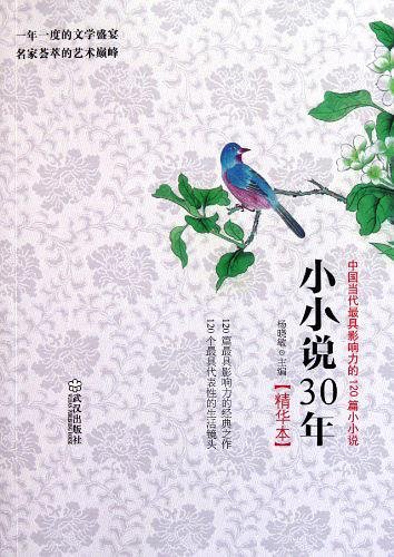 小小说30年
