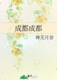 《成都成都》