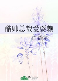 《酷帅总裁爱耍赖》
