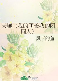 《天壤(我的团长我的团同人)》