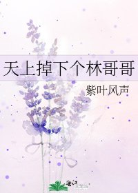 天上掉下個林哥哥