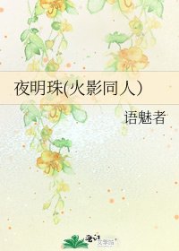 《夜明珠(火影同人)》
