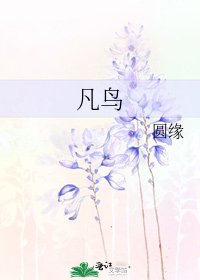 《凡鸟》
