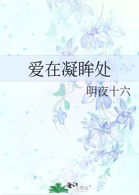 《爱在凝眸处》