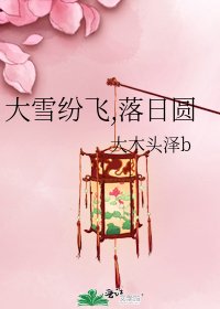《大雪纷飞,落日圆》