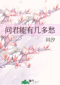 《问君能有几多愁》