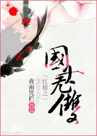 《红楼之国士无双》